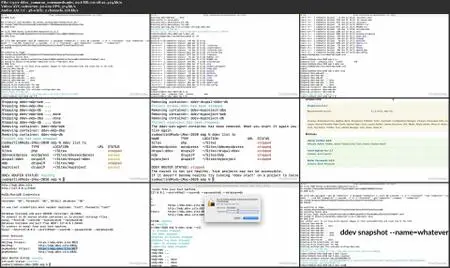 Drupal Development with DDEV