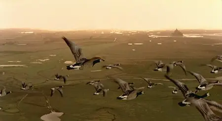Winged Migration - by Jacques Perrin, Jacques Cluzaud, Michel Debats (2001)