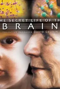 The Secret Life of the Brain (2002) [repost]