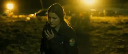 The Last Stand (2013)