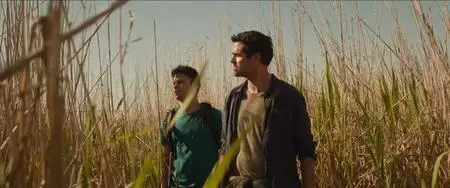 The Marshes (2018)