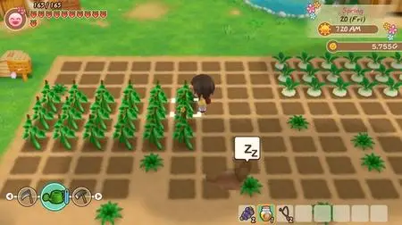 STORY OF SEASONS Friends of Mineral Town (2020) Update v20200820