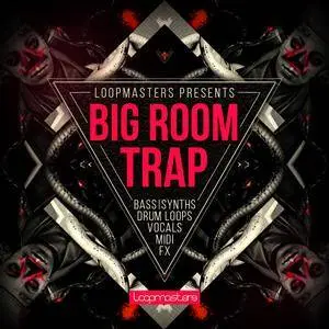 Loopmasters Big Room Trap MULTiFORMAT