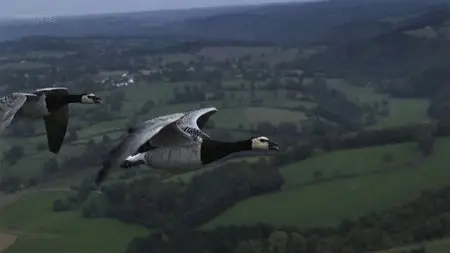 Earthflight - (s01e03) Europe (2012)