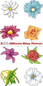 Vectors - Different Shiny Flowers