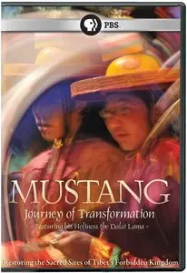 PBS - Mustang: Journey of Transformation (2010)