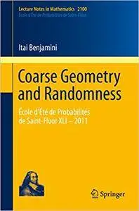 Coarse Geometry and Randomness (Repost)