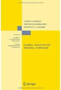 Global Analysis of Minimal Surfaces (2nd edition)