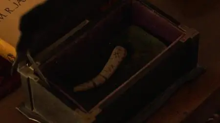 Father Brown S07E03