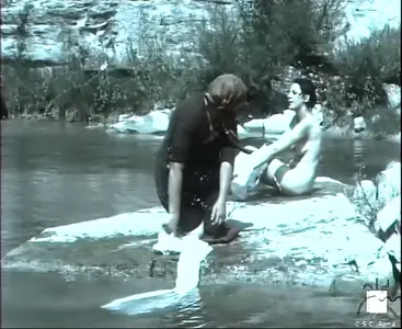 Flashback (1969)