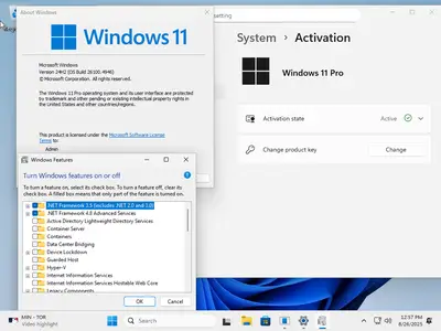 tiny11 Core 24H2 Build 26100.4946 Multilingual Preactivated
