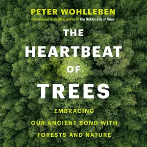 The Heartbeat of Trees: Embracing Our Ancient Bond with Forests and Nature