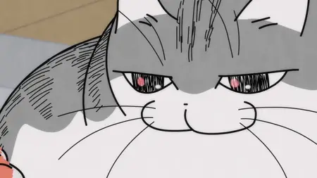 Nights with a Cat - 74