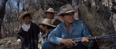 The Magnificent Seven (1960)