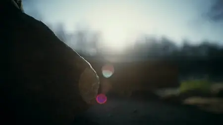 Accident.Suicide.or.Murder.S05E12.Deadly.Descent.720p.AMZN.WEB-DL.DDP2.0.H.264-RAWR S05E12