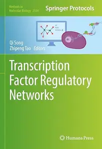 Transcription Factor Regulatory Networks