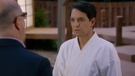 Cobra Kai S03E08