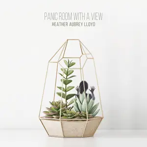 Heather Aubrey Lloyd - Panic Room With A View (2025) [Official Digital Download 24/96]