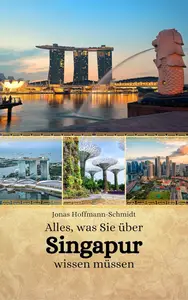 Alles, was Sie über Singapur wissen müssen (German Edition)