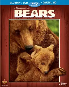 Bears (2014)