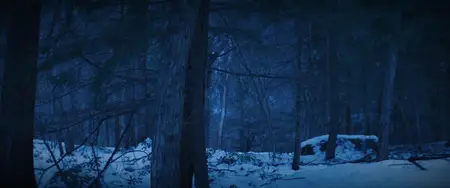 Cold Wallet (2024)