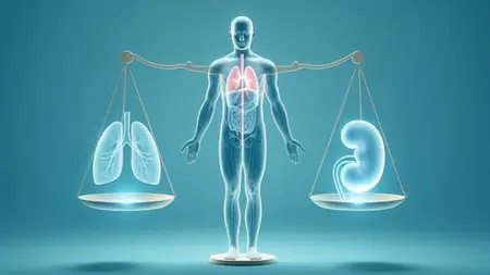 All About Human Body Ph Regulation