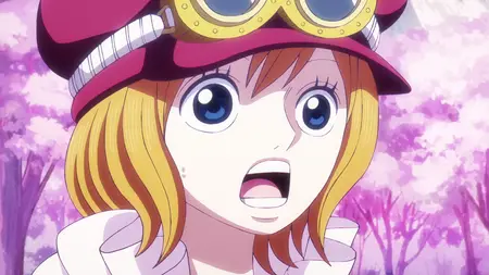 One Piece - 1117 mkv