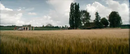 De Ballonvaarder / The Balloonist (2025)