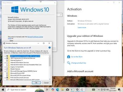 Windows 10 22H2 build 19045.5247 AIO 15in1 (x64) Preactivated December 2024