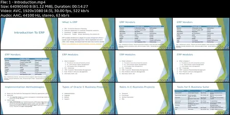 Oracle E-Business Suite (R12.1.3) Technical RICEW