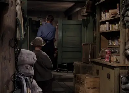 Shane (1953)