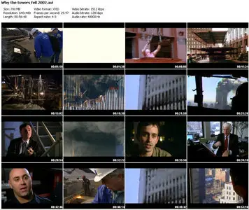 PBS Nova Why the Towers Fell (2002)