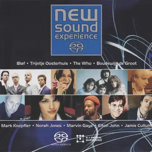 Various Artists - New Sound Experience (2004) MCH SACD ISO + Hi-Res FLAC