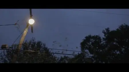 Murder in the Bayou S01E01