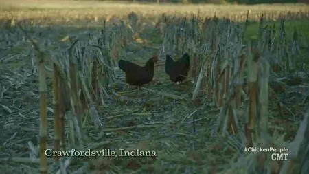 Chicken People (2016)