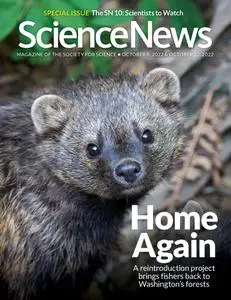 Science News - 8 October 2022
