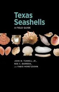 Texas Seashells: A Field Guide (repost)