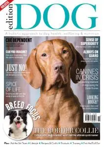 Edition Dog - Issue 19 - May 2020