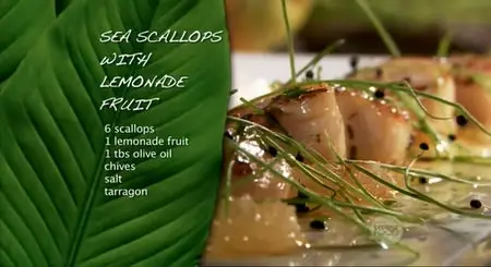 Miguel's Tropical Kitchen (2009)