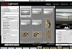 Adobe Lightroom (beta 3) for Windows