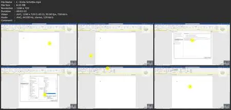 This Is Word Vba: Die Masterclass