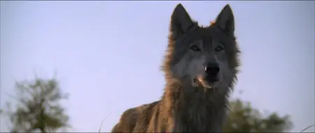 Dances with Wolves (1990) Director's Cut