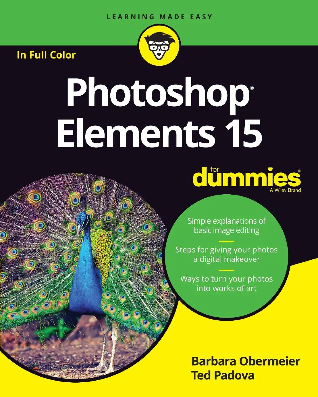 photoshop for dummies on mac