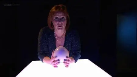 BBC Royal Institution Christmas Lectures - Life Fantastic (2013)