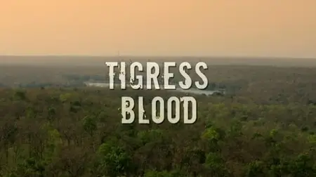 Discovery Channel - Tigress Blood (2014)