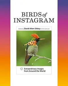 Birds of Instagram: Extraordinary Images from Around the World