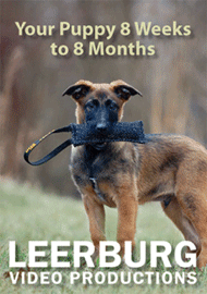 Leerburg's Puppy 8 Week to 8 Months