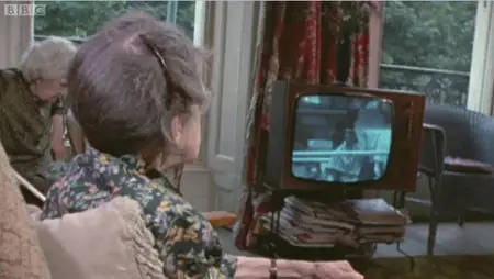 The Lifecycle - How TV Ruined Your Life
