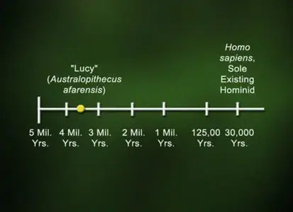Roots of Human Behavior