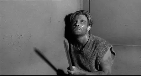 The Incredible Shrinking Man (1957)